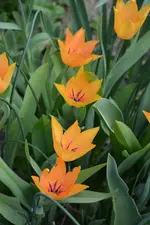 DSC_4282.webp