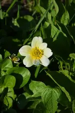 DSC_4307.webp