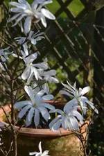 DSC_4310.webp