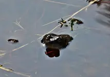 DSC_4260.webp
