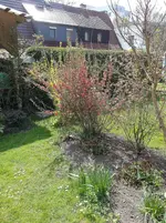 15-04-23             Westflanke.webp