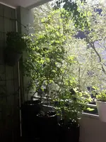 20150424_120304.webp