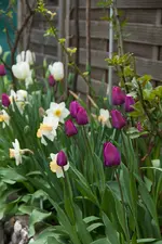 IMG_6655.webp
