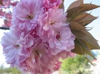 015.webp