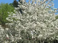 013.webp