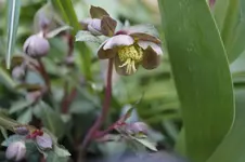 _DSC8064.webp