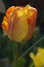 _DSC8018.webp