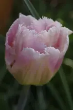 _DSC8022.webp