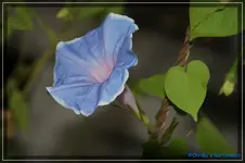 comp_DSC03200.webp