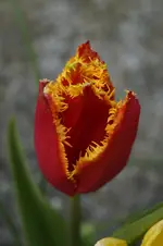_DSC8067.webp