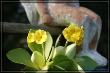 comp_DSC03204.webp