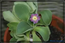 comp_DSC03208.webp