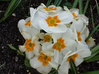 DSC01356.webp