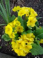 DSC01357.webp