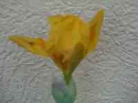 DSC01359.webp