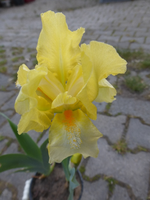 P1340406.webp