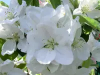 CIMG0118.webp