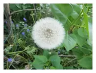 005.webp