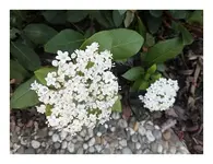 001.webp
