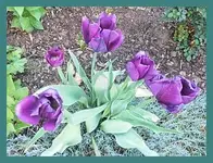 015.webp