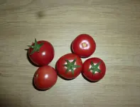27.webp