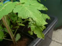 P1540271.webp