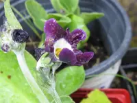 003_1024x768.webp
