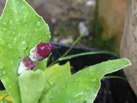 004_1024x768.webp