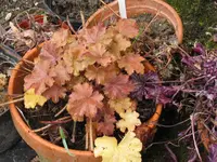 002_1024x768.webp