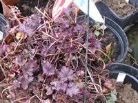 010_1024x768.webp