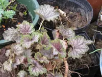011_1024x768.webp