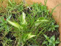 006_1024x768.JPG