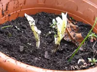 008_1024x768.webp