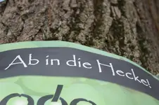 grün.webp