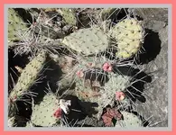 016.webp