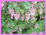 064.webp
