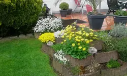 041.webp