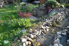SAM_0578.webp