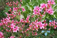 SAM_0584.webp