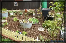 comp_DSC03221.webp