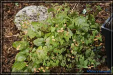 comp_DSC03225.webp
