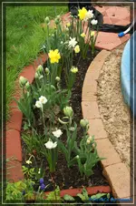 comp_DSC03228.webp