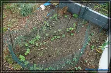 comp_DSC03237.webp