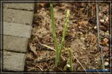 comp_DSC03223.webp