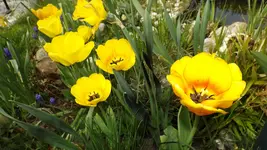DSCF1518.webp