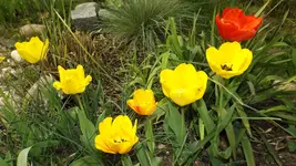 DSCF1519.webp