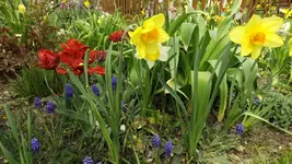 DSCF1545.webp