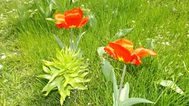 DSCF1554.webp