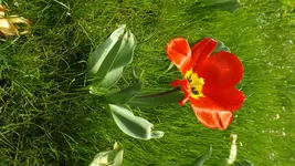 DSCF1556.webp