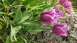 DSCF1536.webp